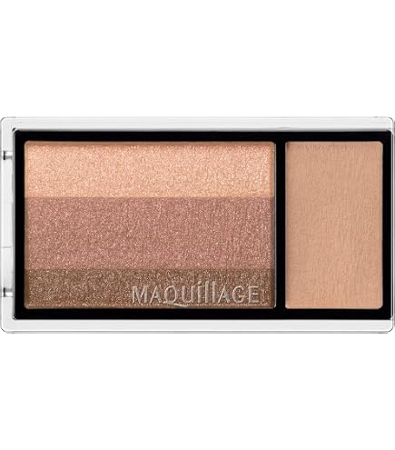 Amazon.co.jp: マキアージュ ドラマティックパレット 10 スイッチ